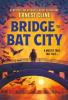 Cover image of Bridge to bat city