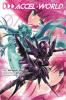 Cover image of Accel World 07