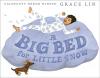 Cover image of A big bed for Little Snow