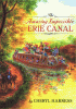 Cover image of The amazing impossible Erie Canal