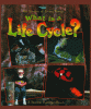 Cover image of What is a life cycle?