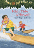 Cover image of High tide in Hawaii