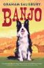 Cover image of Banjo