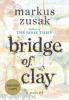 Cover image of Bridge of Clay