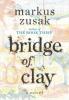 Cover image of Bridge of Clay