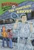 Cover image of The pinstripe ghost