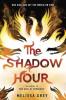 Cover image of The shadow hour