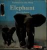 Cover image of Elephant