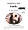 Cover image of Panda