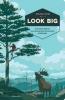 Cover image of Look big