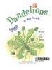 Cover image of Dandelions