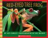 Cover image of Red-eyed tree frog