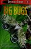 Cover image of Big bugs