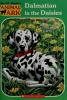 Cover image of Dalmatian in the daisies