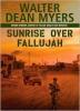 Cover image of Sunrise over Fallujah