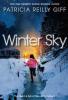 Cover image of Winter sky