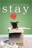 Cover image of Stay