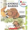 Cover image of Animal Babies