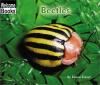 Cover image of Beetles