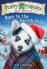 Cover image of Race to the North Pole