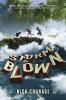 Cover image of Storm blown