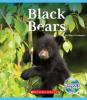 Cover image of Black bears