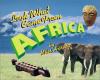 Cover image of Look what came from Africa