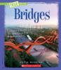 Cover image of Bridges