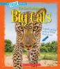 Cover image of The most endangered big cats