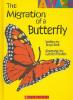Cover image of The migration of a butterfly