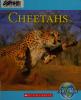 Cover image of Cheetahs