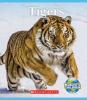 Cover image of Tigers