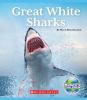 Cover image of Great white sharks