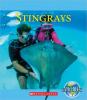 Cover image of Stingrays