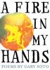 Cover image of A fire in my hands