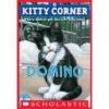 Cover image of Domino