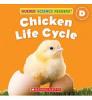 Cover image of Chicken life cycle