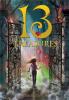 Cover image of 13 treasures