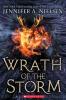 Cover image of Wrath of the storm