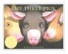 Cover image of The three pigs