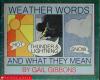 Cover image of Weather words and what they mean