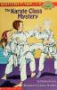 Cover image of The karate class mystery