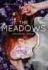 Cover image of The meadows