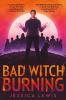 Cover image of Bad witch burning