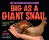 Cover image of Big as a giant snail