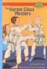 Cover image of The Karate Class Mystery