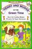 Cover image of Henry and Mudge in the green time