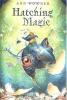 Cover image of Hatching magic