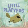 Cover image of Little platypus