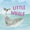 Cover image of Little Whale